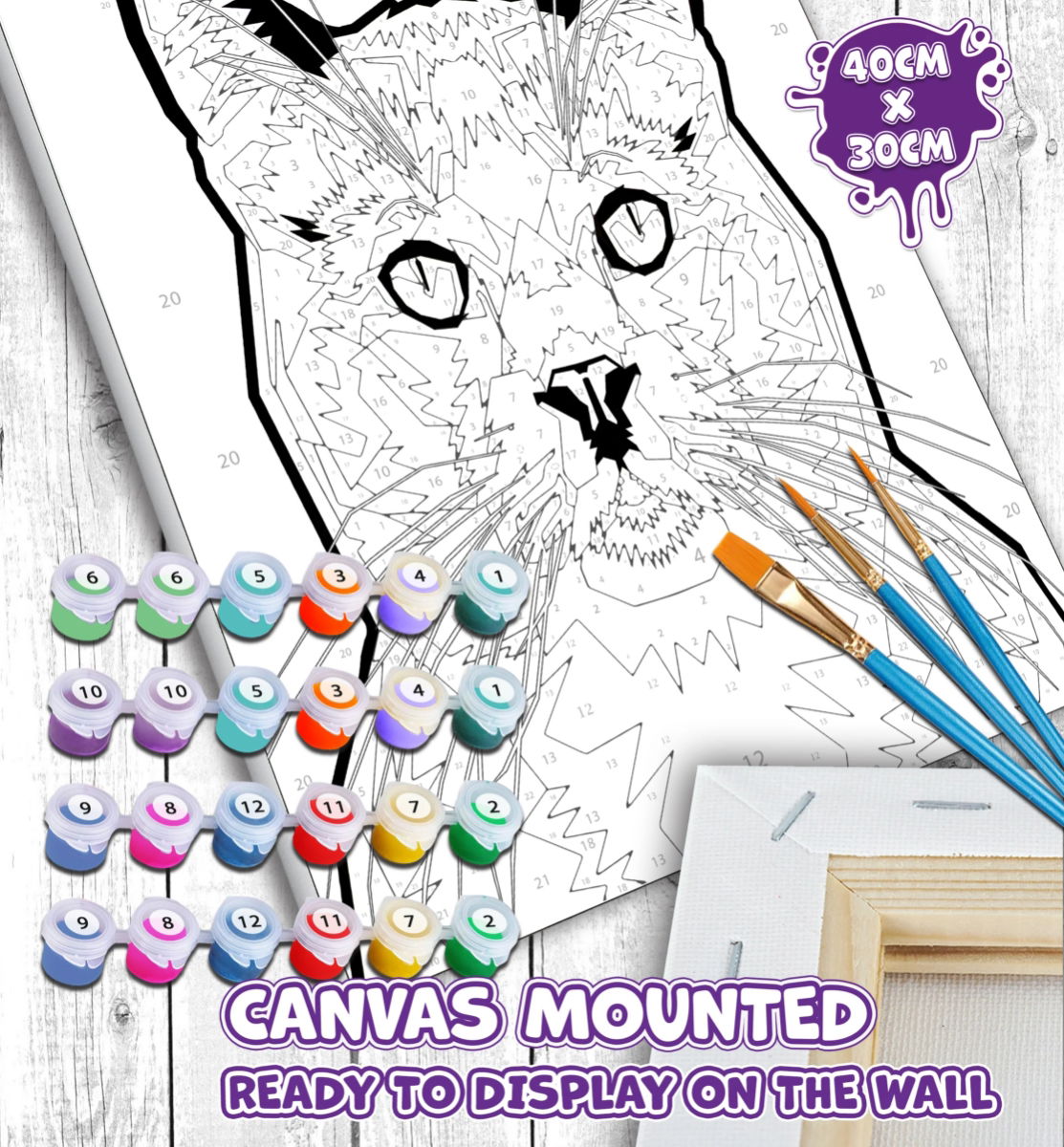 Cat Paint By Number Canvas Splat Planet Set Unfinished Paints