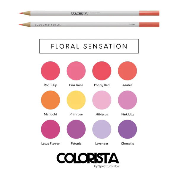 Floral Sensation - Coloured Pencil (12 pc)