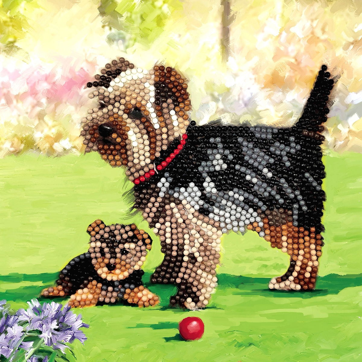 Yorkshire Terrier Dogs- Crystal Art Card 5D Diamond Painting Kit