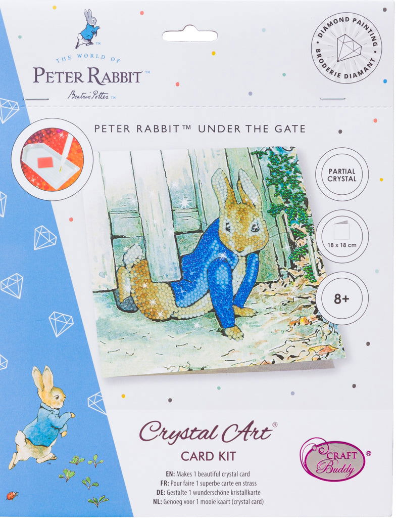 Peter Rabbit 'Under the Fence' 18x18cm Crystal Art Card Kit