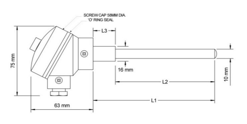 Industrial Head Thermocouple