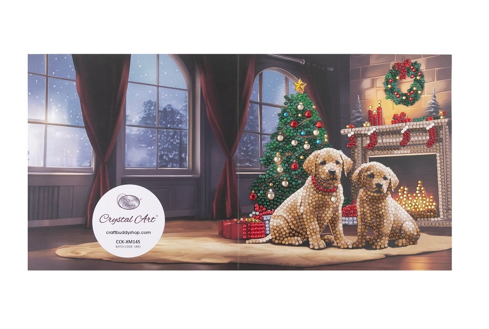 Waiting for Santa- Crystal Art Card Kit 18cm