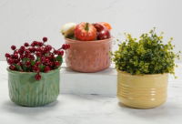 Textured Planter (3 designs)