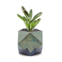 Medium Prismware Planter 10.16cm h x 13.34cm w