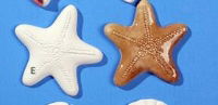 BISQUIES STARFISH 2.5" w