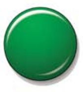 E8005 Fir Green Lead Free Enamel Powder