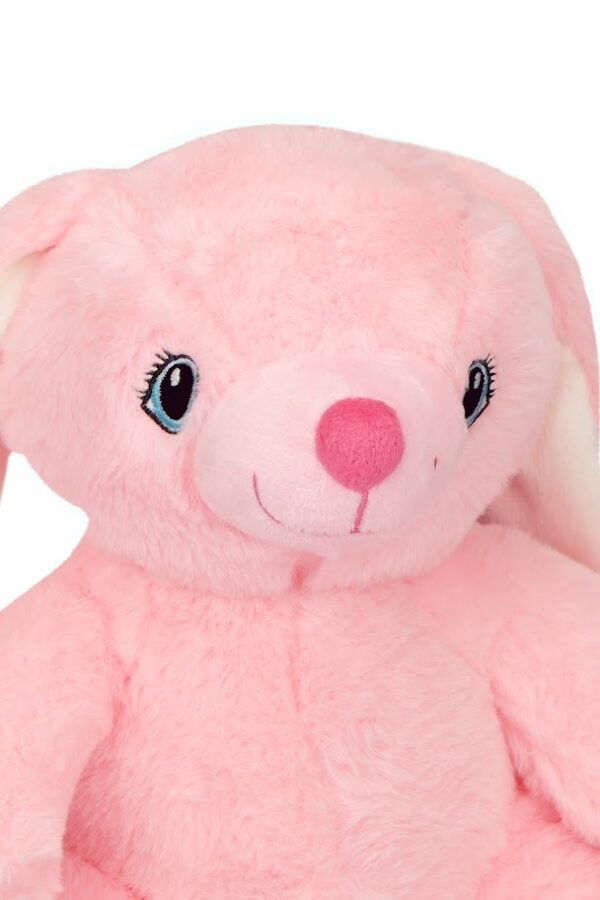 Ruby the Pink Rabbit- Teddy Tastic Build Your Own Bear 