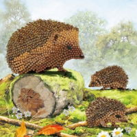 CCK-A69 Happy Hedgehogs Crystal Art Card Kit