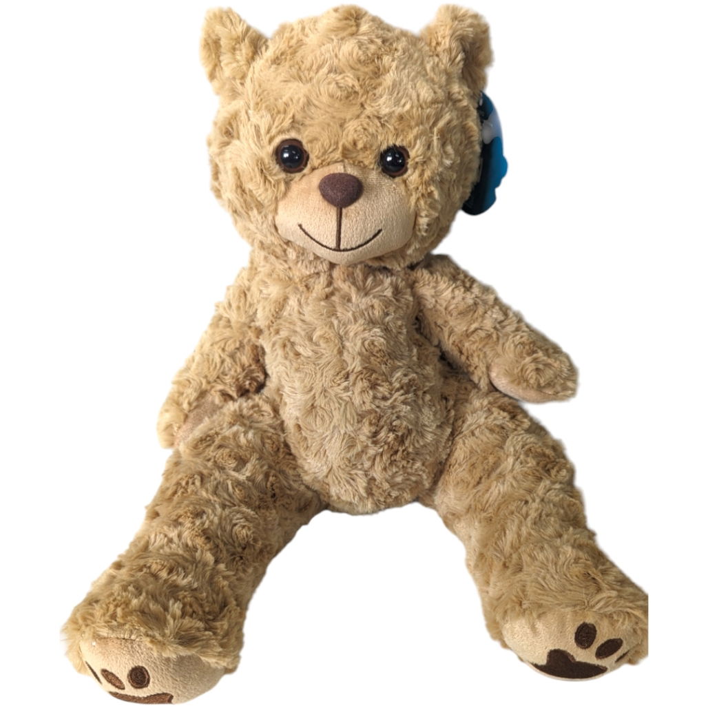 Barney the Golden Bear- TeddyTastic Build your Own Bear