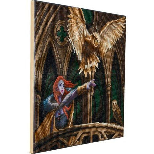 Owl Messenger- Anne Stokes-Crystal Art Canvas Kit 40 x 50cm