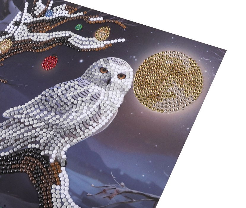 Frosted Moon- Crystal Art Card Kit 18cm