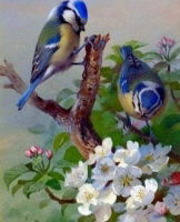 Tits on Branch - Diamond Painting - 40 x 50cm