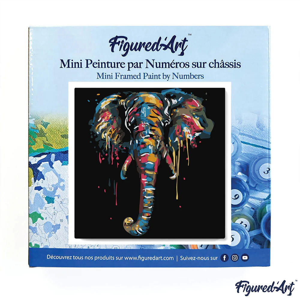 Elephant Painting - Mini paint by numbers framed - 20 x 20cm