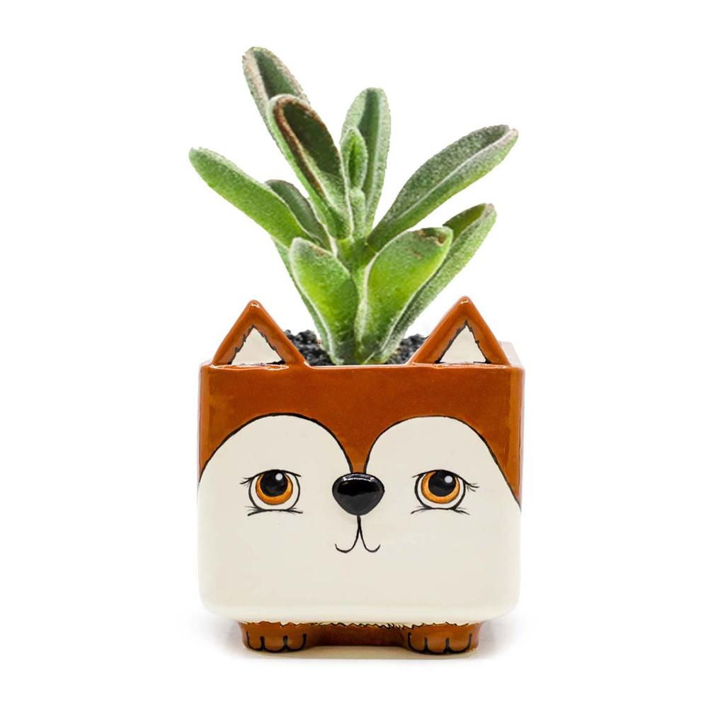 Animal Planter 12.06cm h x 10.8cm w