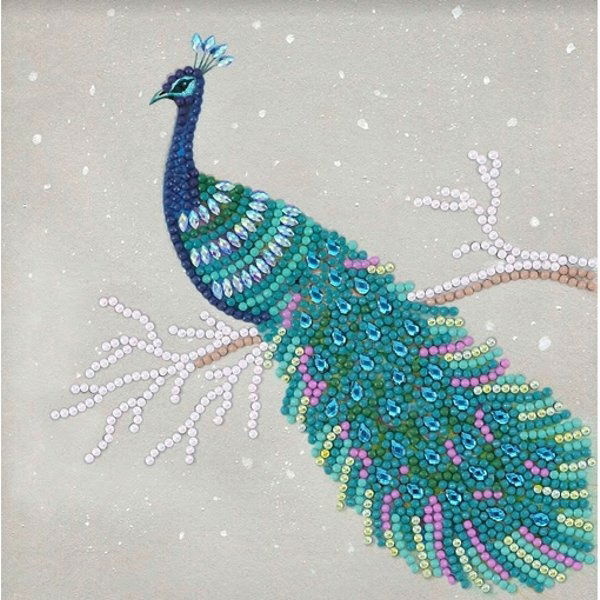 CCK-A67 Pretty Peacock Crystal Art Card Kit