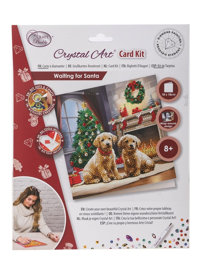 Waiting for Santa- Crystal Art Card Kit 18cm